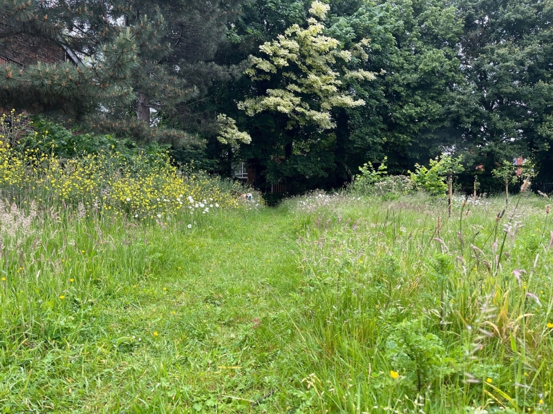 Ladybarn Community Garden, Ladybarn Community Hub